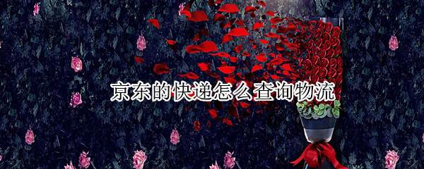 京东的快递怎么查询物流（京东的快递怎么查询物流信息）