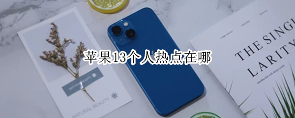 苹果13个人热点在哪（苹果13个人热点在哪个位置）