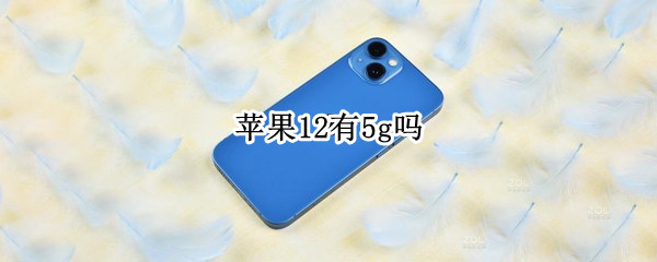 苹果12有5g吗（苹果12也有5g吗）