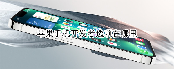 苹果手机开发者选项在哪里 苹果手机开发者选项在哪里信任