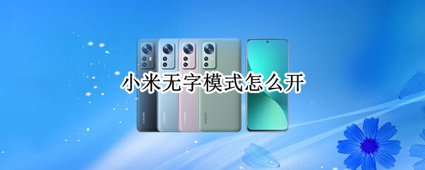 小米无字模式怎么开（小米无字模式怎么开miui12.5）