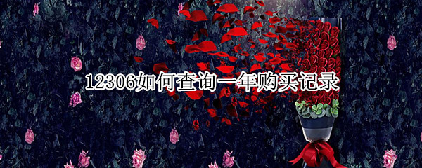 12306如何查询一年购买记录 12306查询一年购票记录方法