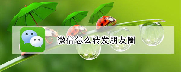 微信怎么转发朋友圈 微信怎么转发朋友圈视频