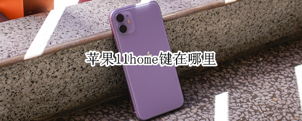 苹果11home键在哪里（苹果11home键在哪里关闭）