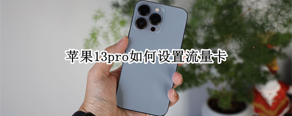 苹果13pro如何设置流量卡 苹果13pro如何设置流量卡上网