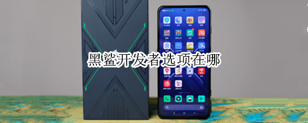 黑鲨开发者选项在哪 黑鲨 开发者选项