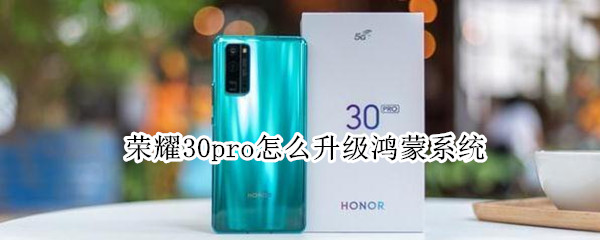 荣耀30pro怎么升级鸿蒙系统（荣耀30pro怎么升级鸿蒙系统3.0）
