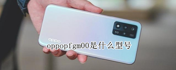 oppopfgm00是什么型号（oppopfgm00是什么型号手机）