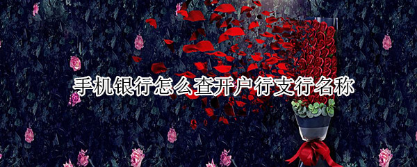 手机银行怎么查开户行支行名称（农行手机银行怎么查开户行支行名称）