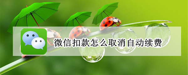 微信扣款怎么取消自动续费 微信扣费怎么关闭自动续费