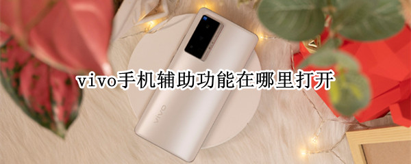 vivo手机辅助功能在哪里打开（vivo手机辅助功能在哪里找）
