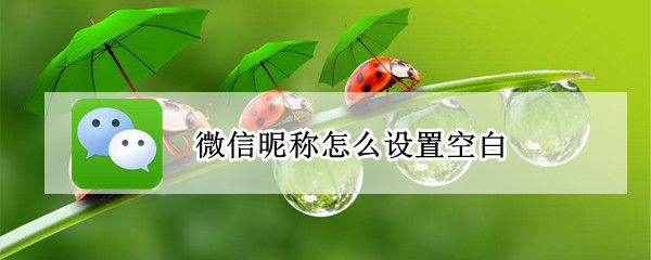 微信昵称怎么设置空白 微信昵称怎么设置空白格