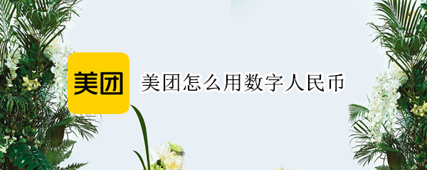 美团怎么用数字人民币 美团怎么用数字人民币红包