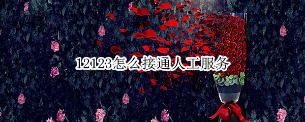 12123怎么接通人工服务（12123人工服务没人接）