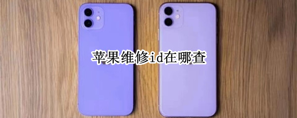 苹果维修id在哪查 苹果维修id在哪查单子