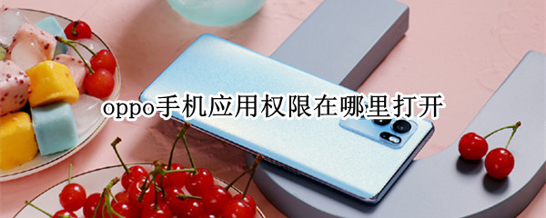 oppo手机应用权限在哪里打开 oppo手机的应用权限管理在哪里打开