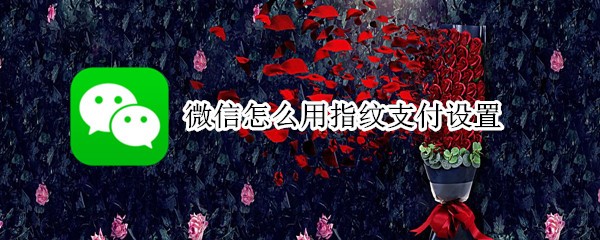 微信怎么用指纹支付设置（微信怎么用指纹支付设置华为）