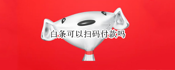 白条可以扫码付款吗 白条可以扫码付款吗安全吗