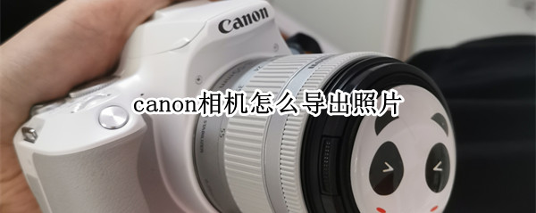 canon相机怎么导出照片 canon相机怎么导出照片到电脑