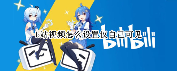 b站视频怎么设置仅自己可见（b站的视频可以设置仅自己可见吗）