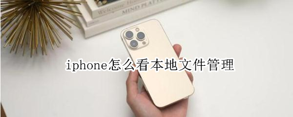 iphone怎么看本地文件管理（ipad怎么看本地文件管理）