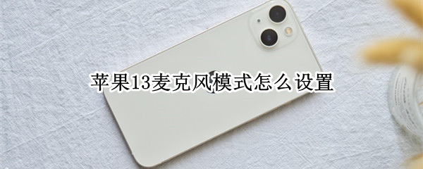 苹果13麦克风模式怎么设置（苹果13麦克风模式怎么设置标准）