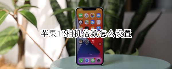 苹果12相机倍数怎么设置（苹果12相机倍数怎么设置的）
