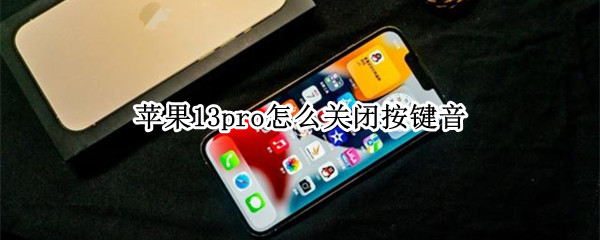 苹果13pro怎么关闭按键音 苹果13pro怎么关闭按键音量