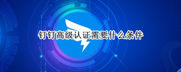 钉钉高级认证需要什么条件（钉钉高级认证有什么用）