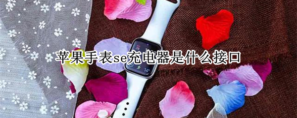苹果手表se充电器是什么接口（苹果手表se用什么充电器头）