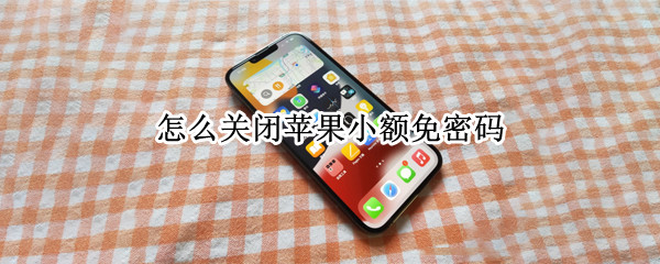 怎么关闭苹果小额免密码（如何取消苹果小额免密功能）