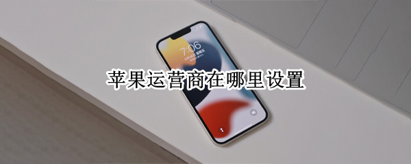 苹果运营商在哪里设置（苹果手机运营商设置在哪）