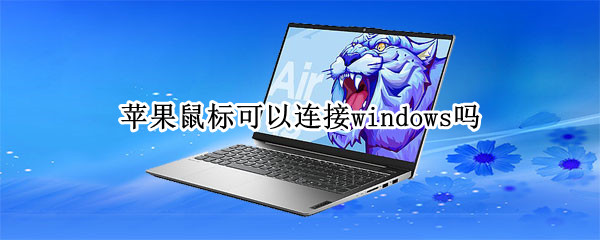 苹果鼠标可以连接windows吗（苹果鼠标可以连接windows10吗）