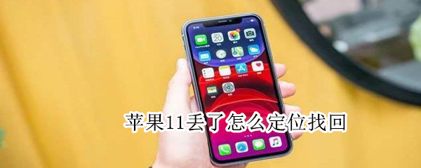 苹果11丢了怎么定位找回（苹果11丢了怎么定位找回我的我的ID是面部识别）