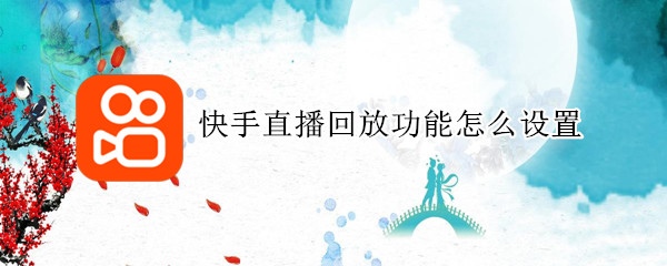 快手直播回放功能怎么设置（快手直播回放功能怎么设置权限）