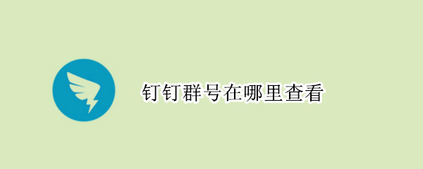 钉钉群号在哪里查看（钉钉群号在哪里查看到）
