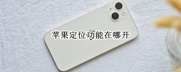 苹果定位功能在哪开 苹果定位功能在哪开关