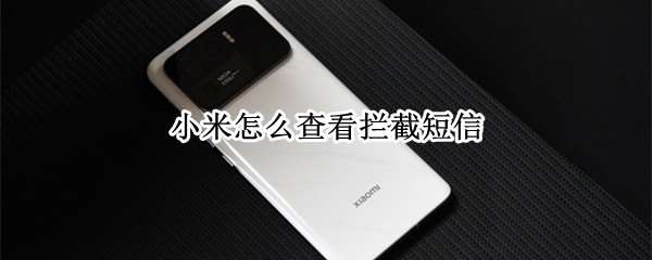 小米怎么查看拦截短信（小米怎么查看拦截短信记录）
