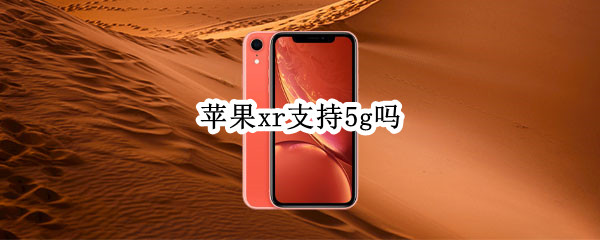 苹果xr支持5g吗（苹果XR支持5G吗?）
