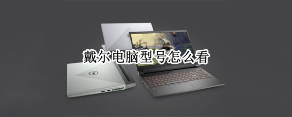 戴尔电脑型号怎么看 戴尔电脑型号查询