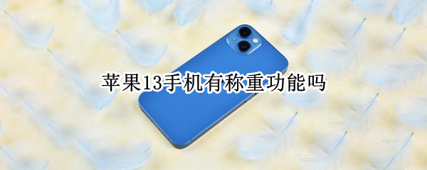 苹果13手机有称重功能吗 苹果13手机有称重功能吗怎么设置