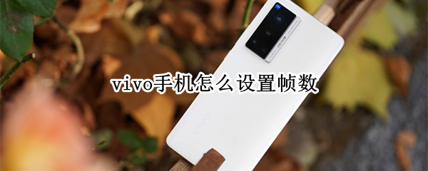 vivo手机怎么设置帧数 vivo手机怎么设置帧数不显示