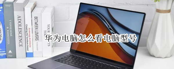华为电脑怎么看电脑型号 华为电脑怎么看电脑型号和尺寸