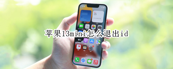 苹果13mini怎么退出id（苹果13mini怎么退出软件）