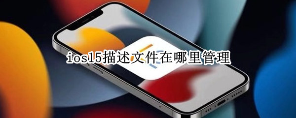 ios15描述文件在哪里管理（ios15.1描述文件在哪里管理）