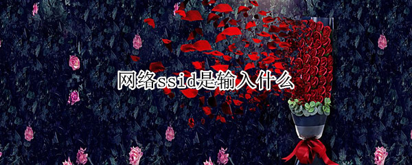 网络ssid是输入什么（网络ssid是输入什么号码）