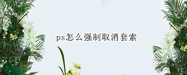 ps怎么强制取消套索 ps 取消套索