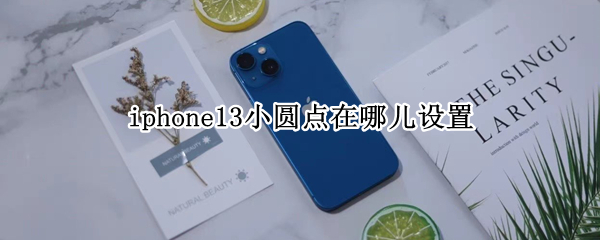 iphone13小圆点在哪儿设置（iphone13的小圆点在哪里设置）