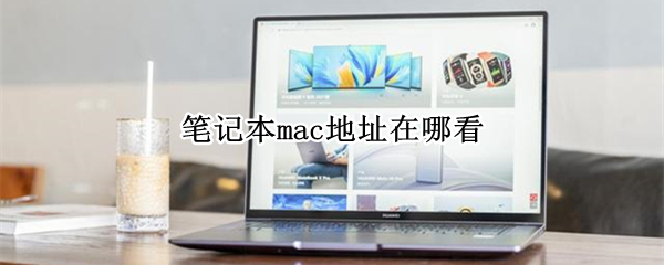 笔记本mac地址在哪看 笔记本mac地址在哪看win11