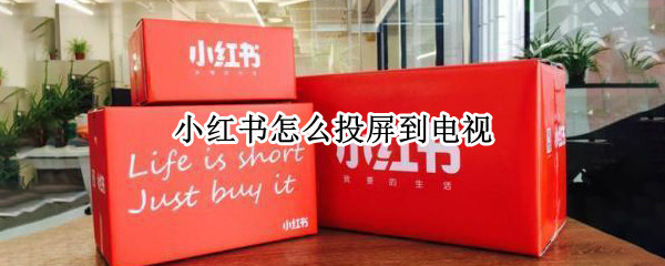 小红书怎么投屏到电视（苹果手机小红书怎么投屏到电视）
